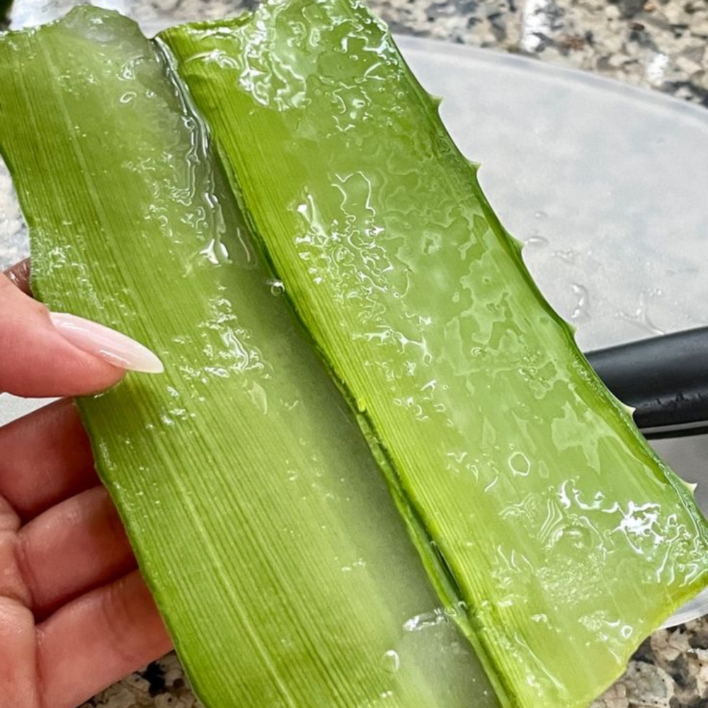 Aloe Vera Soothing Gel